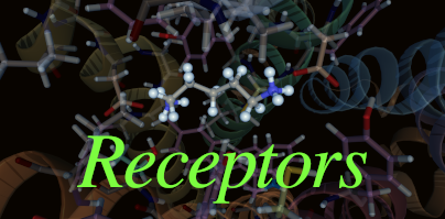 List of Receptors
